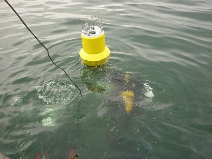 Pegelboje auf einem Binnensee: gelber Schwimmkörper mit Antennen­halterung, Service-Tauchgang.