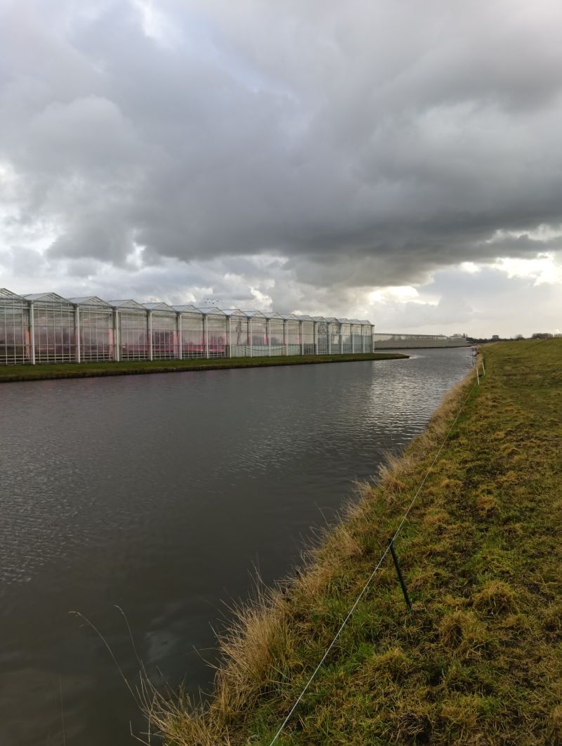 Dike mellan växthus i Sydholland under molnig himmel