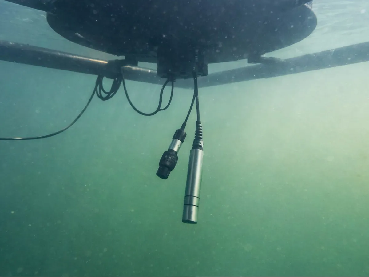 Sensors mounted beneath a monitoring buoy, directly in the water.