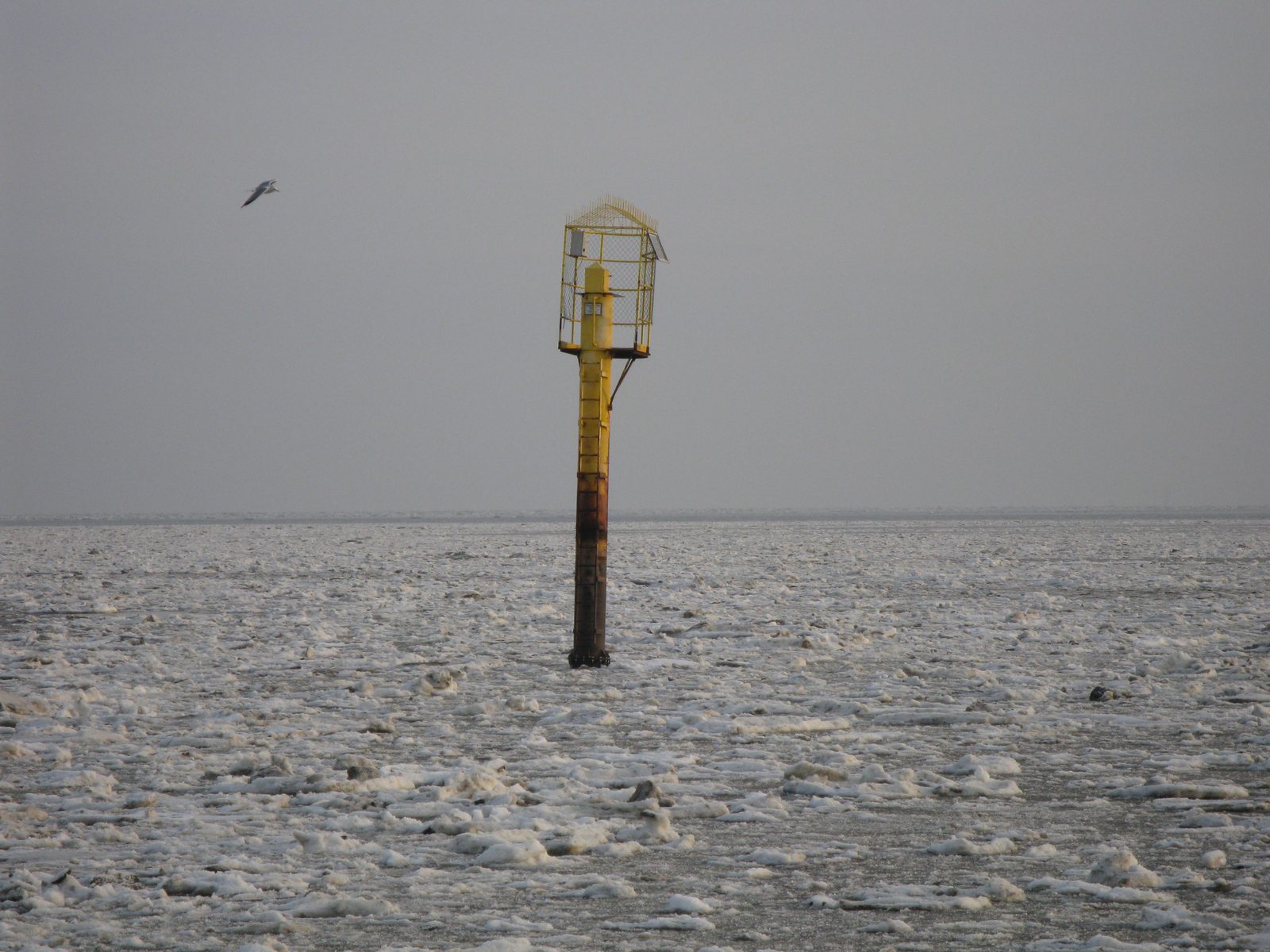 Begehbarer Hilfspegel im winterlichen Wattenmeer mit Eisschollen rundherum